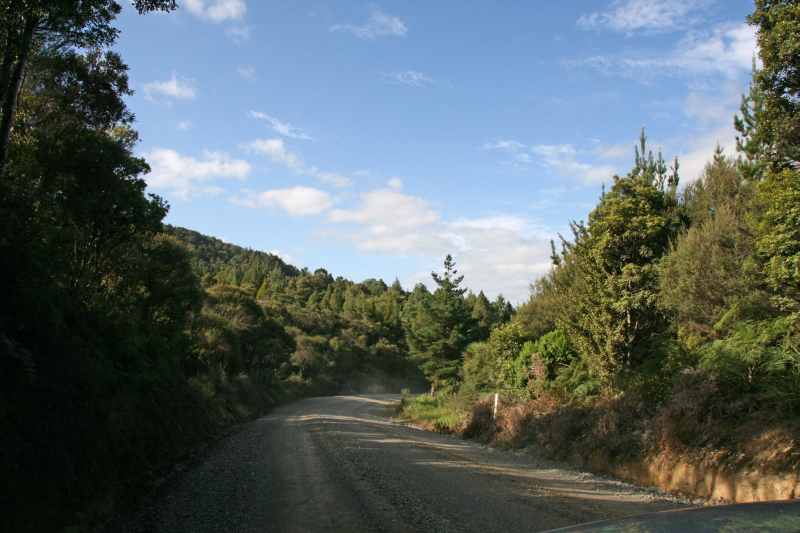 Nieuw-Zeeland 2011 - 0277